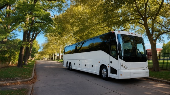 yonkers bachelor and bachelorette party bus rentals